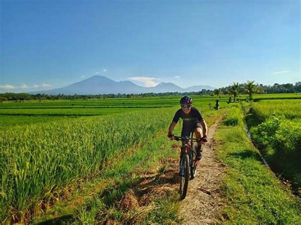 Bersepeda Di Ubud Bali