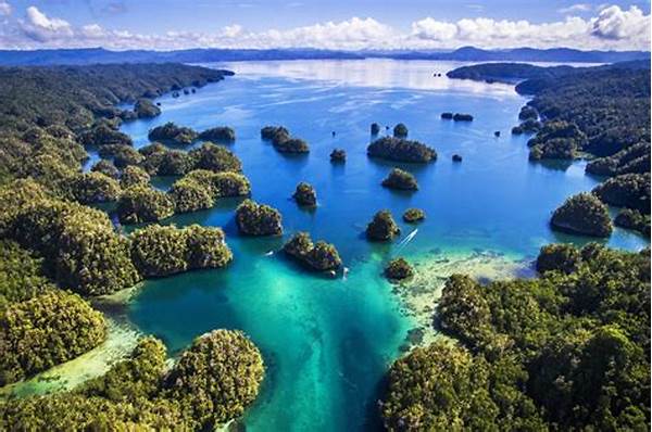 Destinasi Menyelam Tersembunyi Raja Ampat