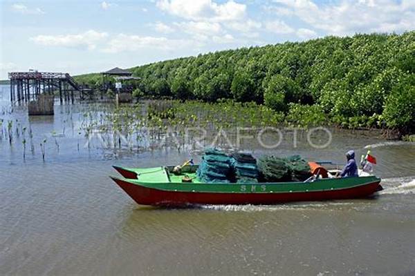 Ekosistem Hutan Sulawesi