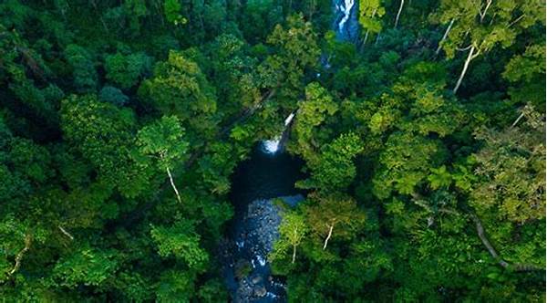 Ekosistem Hutan Tropis Sulawesi