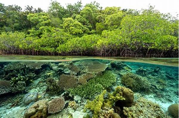 Ekosistem Laut Tropis Papua Barat