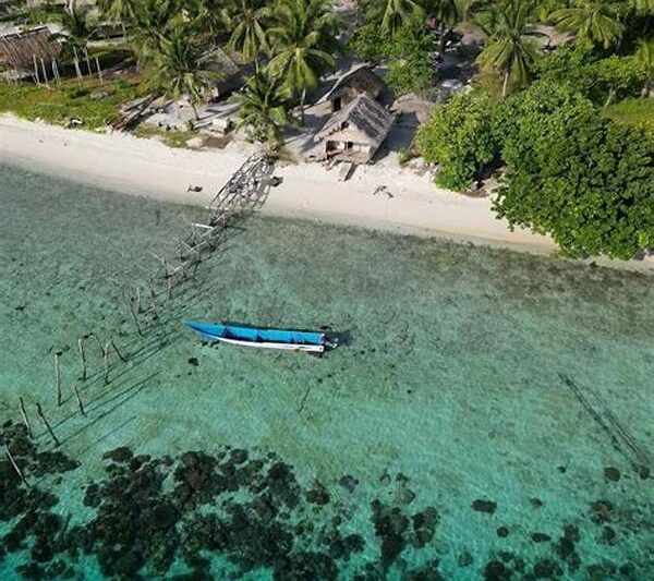 Eksplorasi Kehidupan Laut Eksotis