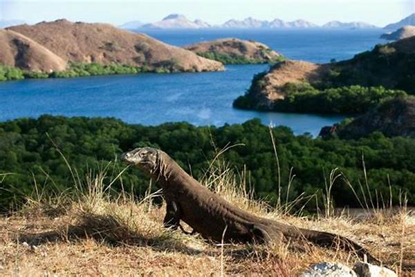 Eksplorasi Taman Nasional Komodo