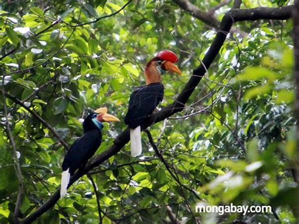 Flora Dan Fauna Tangkoko