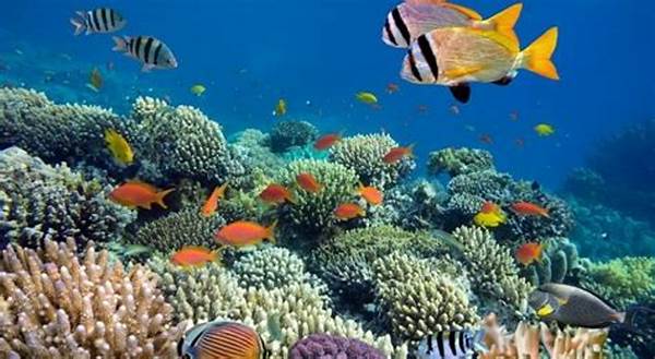 Keanekaragaman Hayati Bawah Laut
