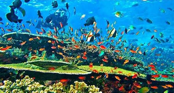 Keberagaman Biota Bawah Laut
