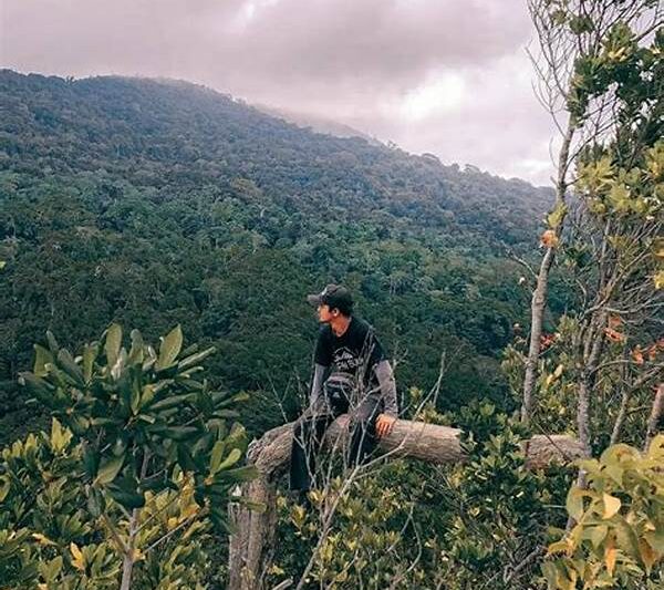 Keindahan Hutan Tangkoko Cagar Alam