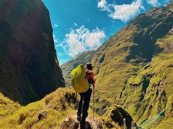 Keindahan Jalur Pendakian Rinjani