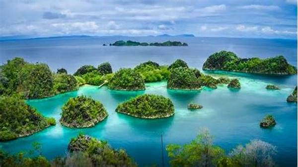 Keunikan Ekosistem Laut Raja Ampat