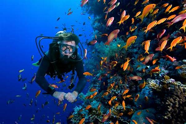 Pengalaman Diving Raja Ampat