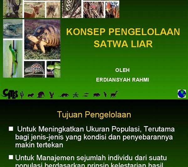 Pengawasan Populasi Satwa Liar.