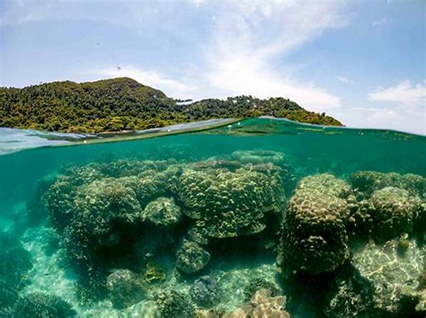 Penghuni Laut Tropis Indonesia