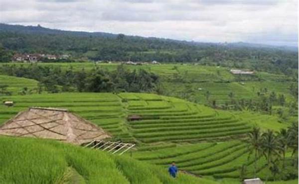 Perpaduan Cinta Dan Alam Bali