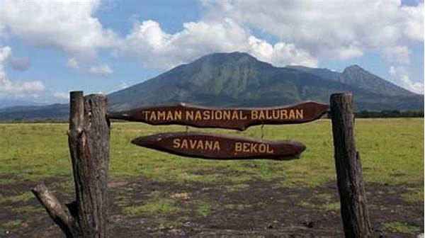“petualangan Menantang Di Baluran”