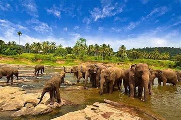 Petualangan Wisata Di Taman Nasional