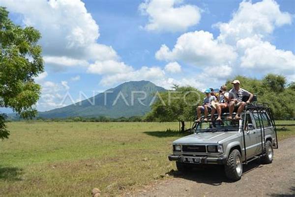 Safari Di Taman Nasional Baluran