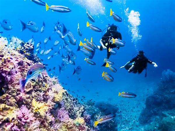 Spot Diving Populer Di Thailand