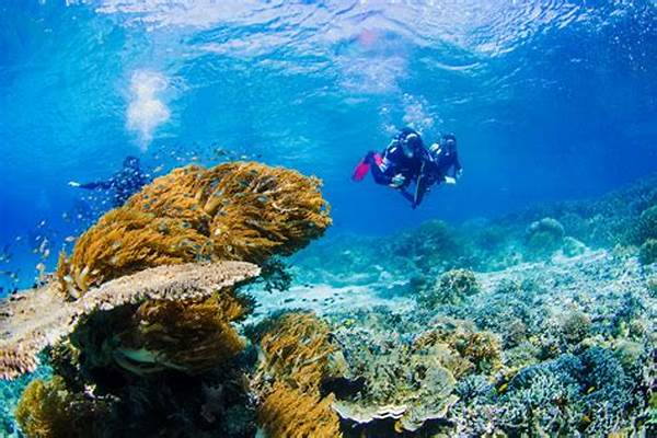 Spot Diving Raja Ampat Tersembunyi