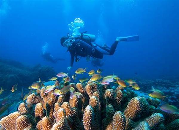 Spot Diving Terbaik Di Papua
