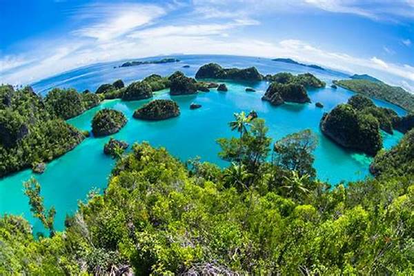 Spot Snorkeling Populer Raja Ampat