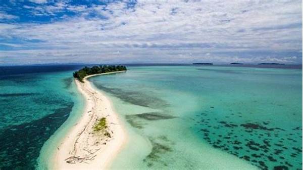 Surga Penyelam Di Papua