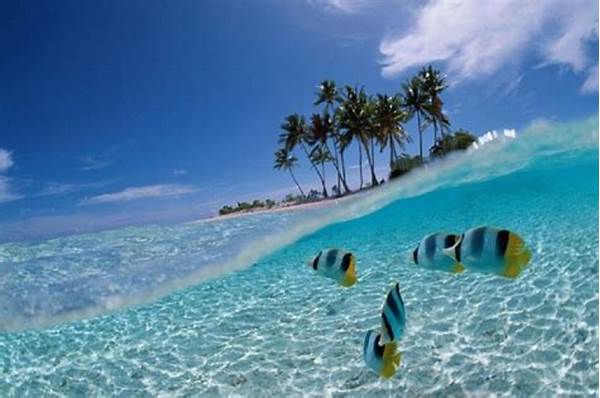 Wisata Bahari Terbaik Indonesia