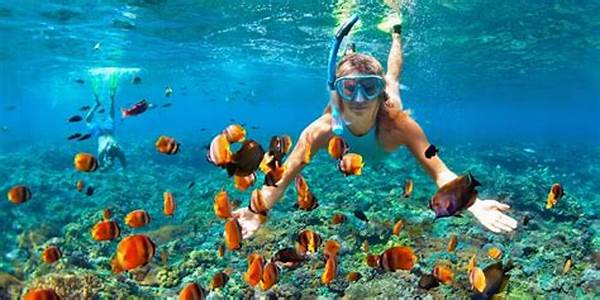 Destinasi Snorkeling Terbaik Indonesia