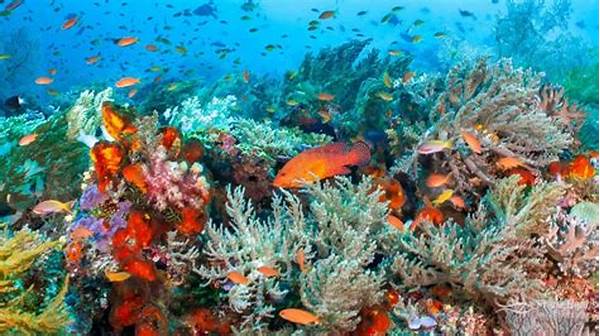 Ekosistem Bawah Laut Beragam Raja Ampat