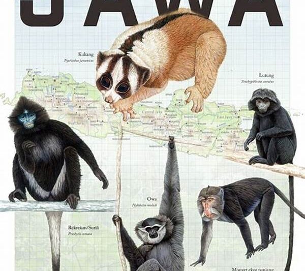 Faktor Genetik Primata Jawa