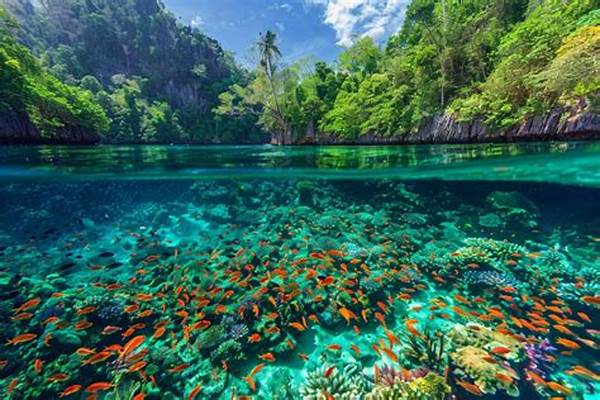 Keindahan Tersembunyi Bawah Laut Raja Ampat
