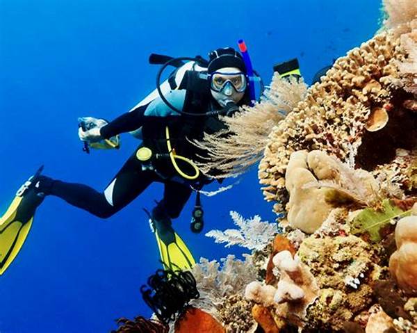 Menyelam Di Taman Laut Bunaken