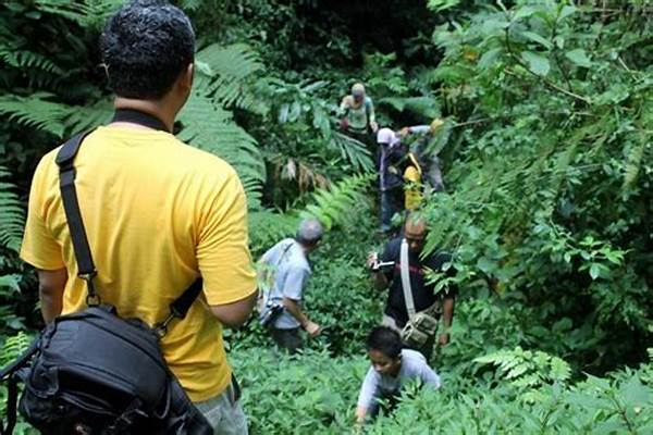 Menyibak Tabir Hutan Purba