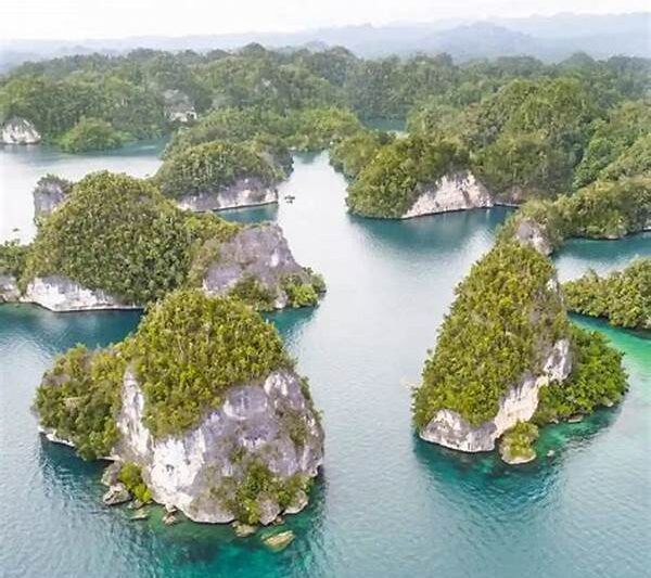 Pengalaman Liburan Di Raja Ampat