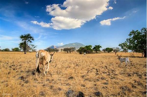 “pengalaman Safari Baluran Indonesia”