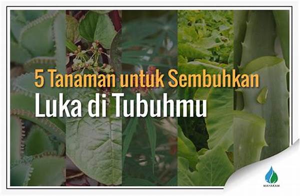 Penyembuhan Infeksi Kulit Dengan Tumbuhan