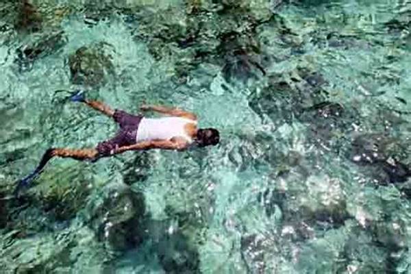 Petualangan Bawah Laut Raja Ampat