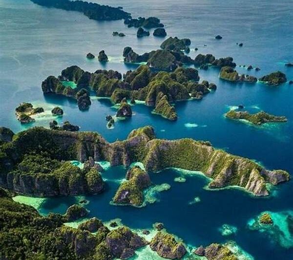 Surga Bawah Laut Tersembunyi Raja Ampat