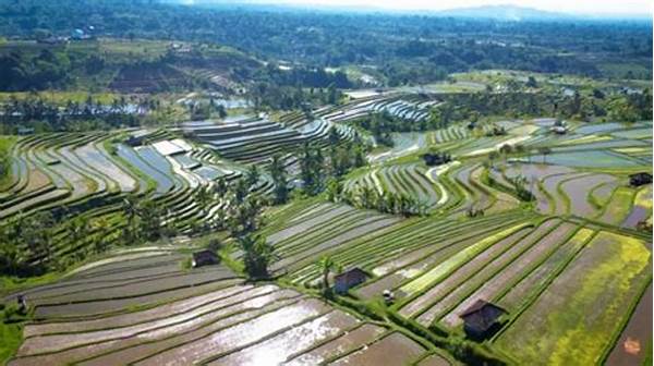 Tradisi Subak Pengelolaan Air