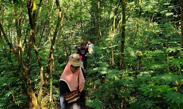 Trekking Di Hutan Alami