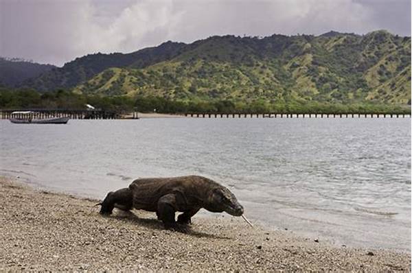 Trekking Seru Di Pulau Komodo