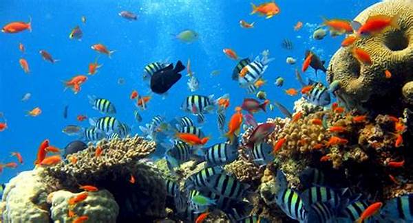 Ekosistem Laut Raja Ampat
