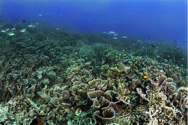 Ekosistem Terumbu Karang Raja Ampat