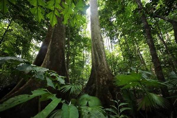 Keunikan Ekosistem Tangkoko