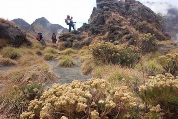 Kondisi Visibilitas Pendakian Rinjani