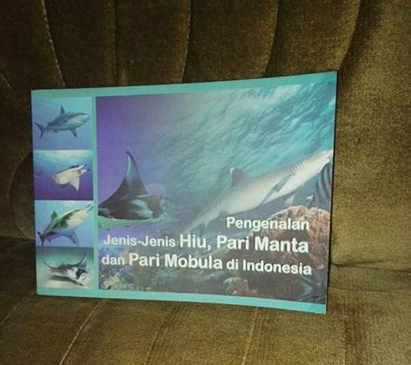 Pari Manta Dan Hiu Karpet