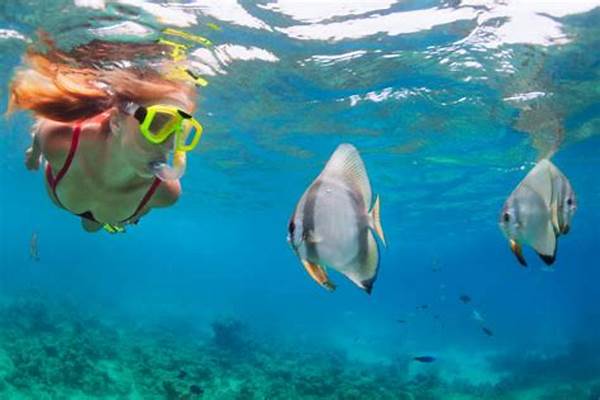 Snorkeling Bersama Ikan-ikan Tropis