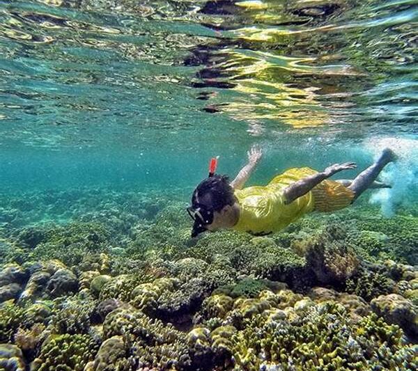 Surga Snorkeling Paling Dicari Wisatawan