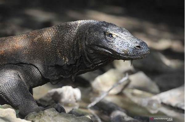 Ancaman Perburuan Liar Sulawesi