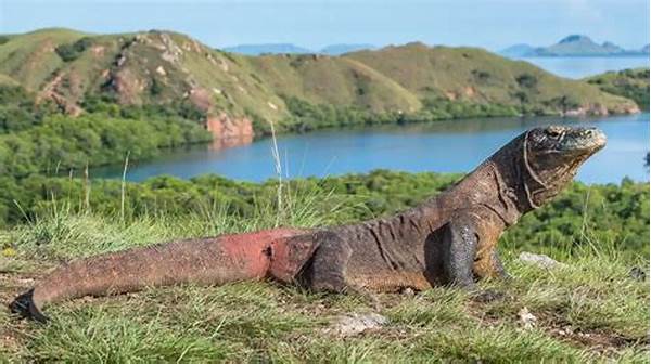 Eksplorasi Flora Fauna Komodo