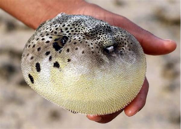 Mekanisme Pertahanan Ikan Buntal